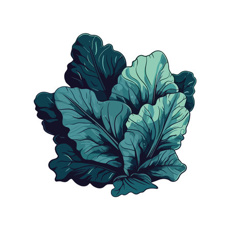 Fresh organic salad leavesのイラスト素材