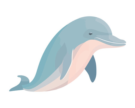 Cute dolphin swimming natureのイラスト素材