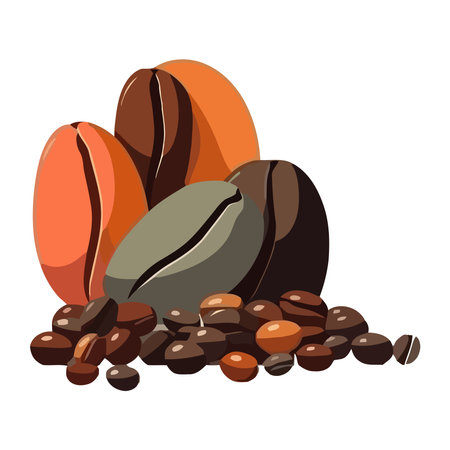 dry coffee seeds on white backdropのイラスト素材