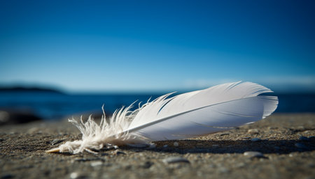Feathered symbol of freedom flying over tranquil coastline at sunset generated by artificial intelligenceの素材