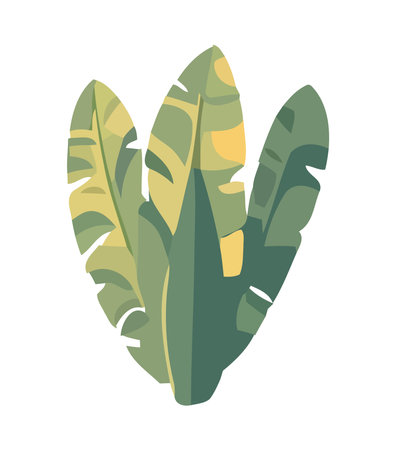 tropical palm leaves natureのイラスト素材