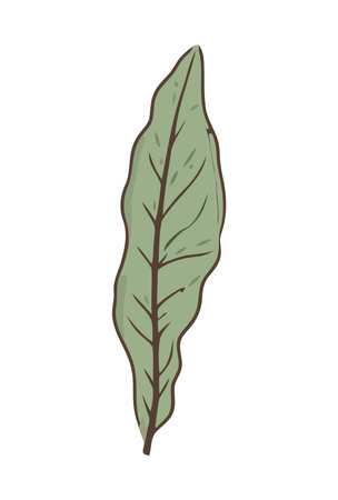 Nature growth leaf, a symbol of freshness and lifeのイラスト素材