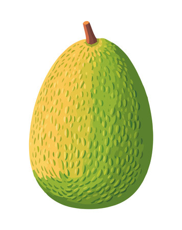 Ripe Tropical exotic fruit breadfruit illustrationのイラスト素材