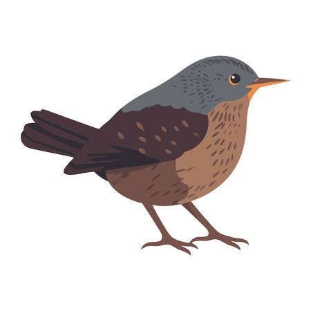 Small bird standing animal iconのイラスト素材