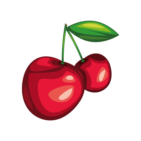 cherry fresh fruit iconのイラスト素材