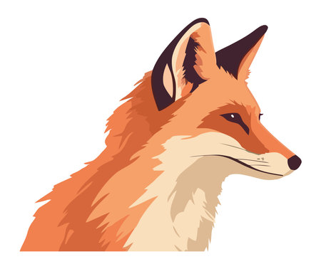 fox on white background iconのイラスト素材