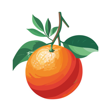 Fresh citrus fruit on green leaf branch vectorのイラスト素材