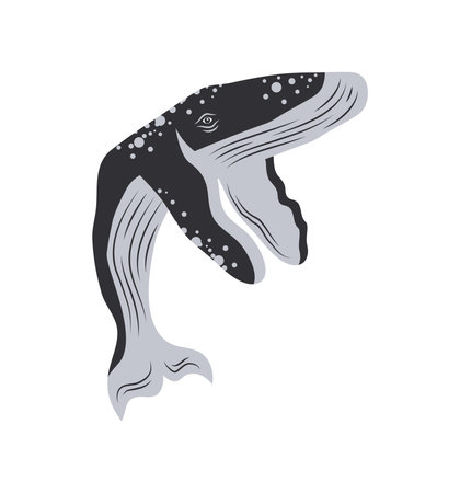 humpback sealife huge iconのイラスト素材