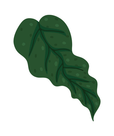 exotic leaf plant naturalのイラスト素材