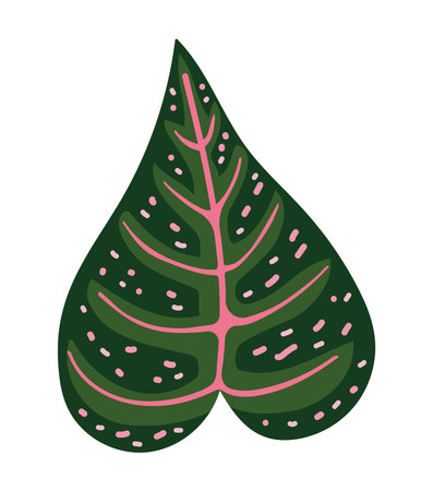 exotic leaf plant greeneryのイラスト素材