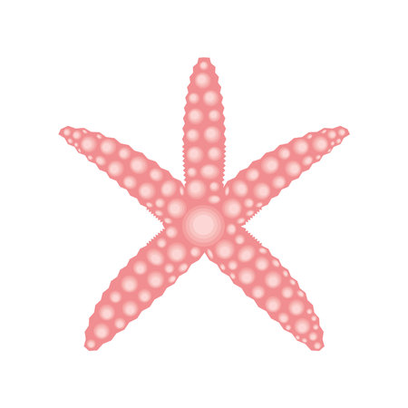 pink starfish sea life designのイラスト素材