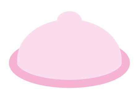 contraceptive diaphragm for womenのイラスト素材