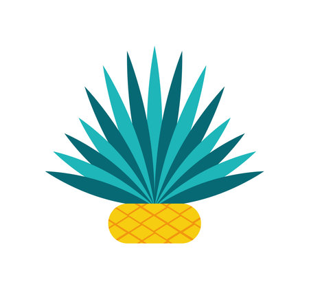 mexico mezcal agave plantのイラスト素材