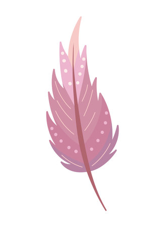 native feather decorationのイラスト素材
