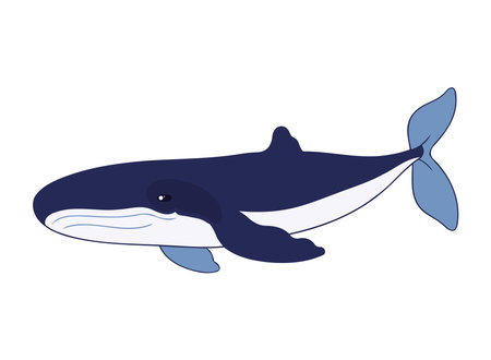 humpback sealife animalのイラスト素材