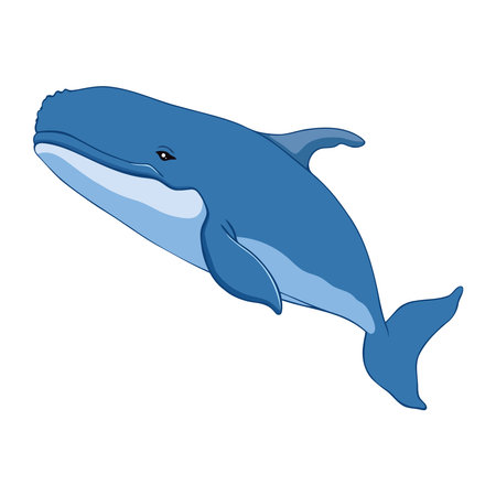 humpback sealife isolatedのイラスト素材