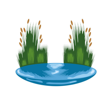 wetland vegetation illustrationのイラスト素材