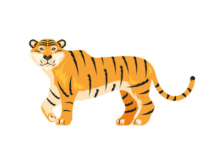 tiger animal illustrationのイラスト素材