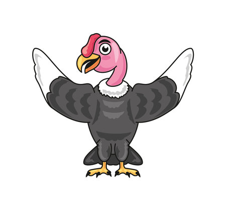 cartoon andean condor open wingsのイラスト素材