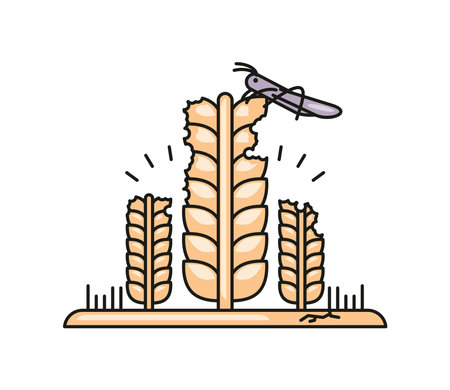 locust plague due to climate changeのイラスト素材
