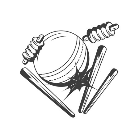 ball knocking down the stumps cricket sportのイラスト素材