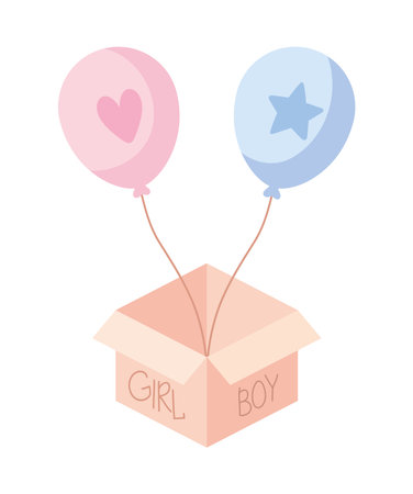gender reveal surprise boxのイラスト素材