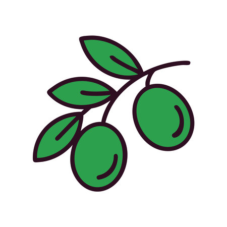 Italian olives branch with green fruitsのイラスト素材