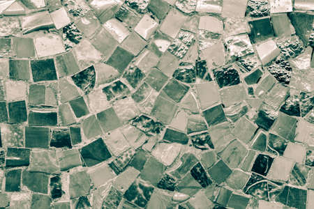 The Colorful vintage ceramic tiles wall decoration.の写真素材