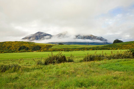 View from hills to the mountains in New Zealand