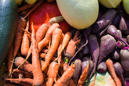 Harvest both beets, zucchini, carrots and pumpkins. Organic farming concept.の写真素材