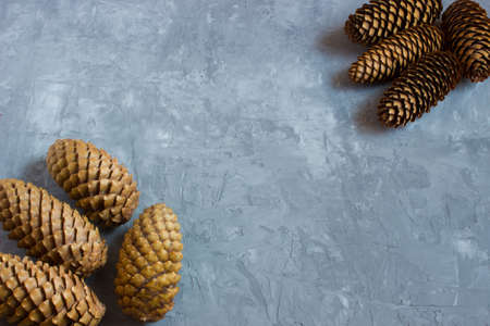 Groups of cones on a gray concrete backgroundの写真素材