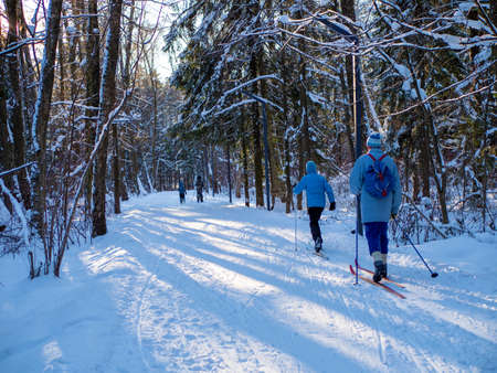 Active rest in winter. Cross-country skiing. Skiing. Exercise the muscles of the whole body. Fresh air.の写真素材