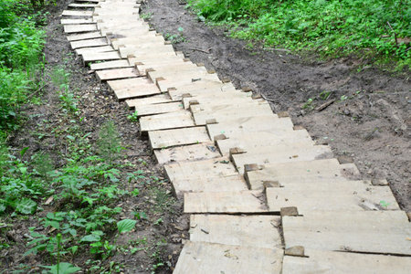 Wooden stairs in the forest  Sigulda 