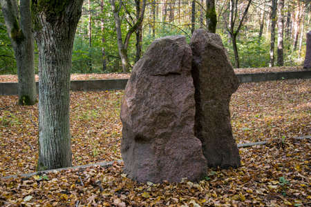 Solitary rocks in the forestの写真素材