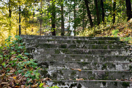 Old stone staircase in the forestの写真素材