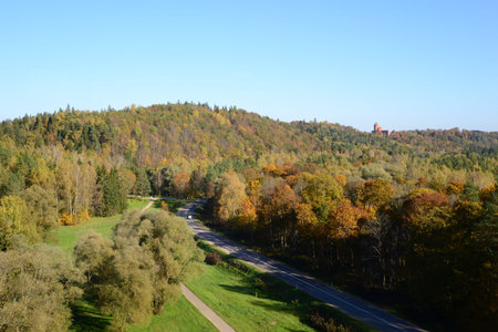 Road to the castleの写真素材