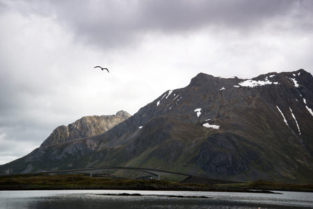 bridge over river on Lofoten Islandsの写真素材
