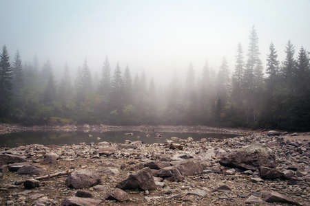 lake at Tatra mountainsの写真素材