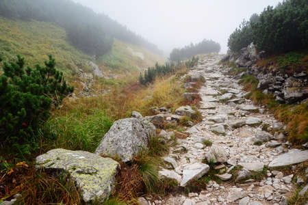road to Tatra mountainsの写真素材