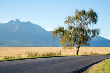 road to High Tatra mountainsの写真素材