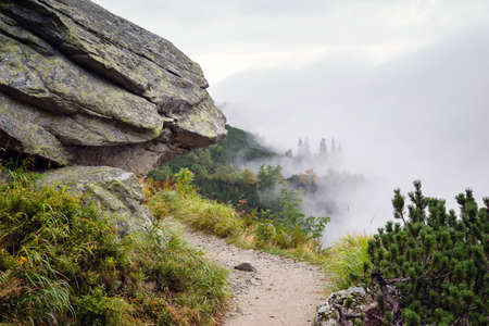 road to Tatra mountainsの写真素材