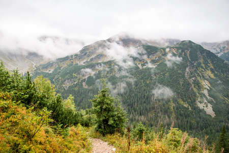 road to Tatra mountainsの写真素材