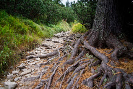 boulder road to High Tatra mountainsの写真素材