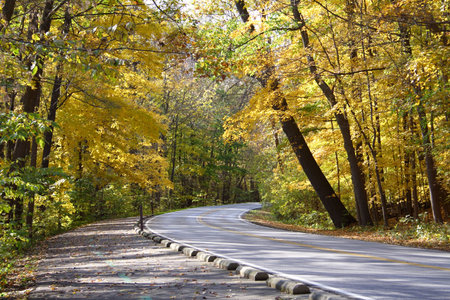 Scenic Autumn Fall Drive