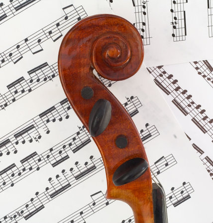The scroll of the violin in profile, showing beautiful curves.