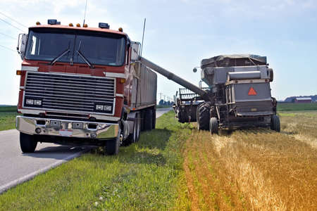 Loading wheat from field to a waiting Semi truck to tranport to market.  Field in Toledo, Ohioの写真素材