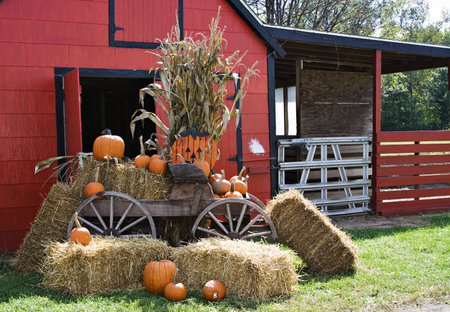 A red barn decorated for fall and halloween and thanksgiving.の写真素材