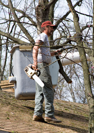 Tree worker removing brances over roof - what out for that electric line!