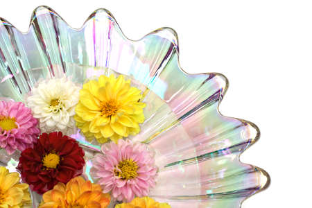 An irredescent glass diish filled with water  - floating dahlia blooms of many colors.の写真素材