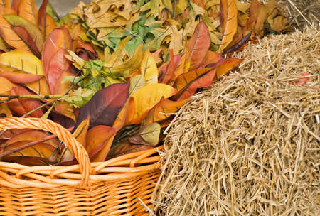 Autumn leaves and straw with a woven basket in warm colors for background.の写真素材